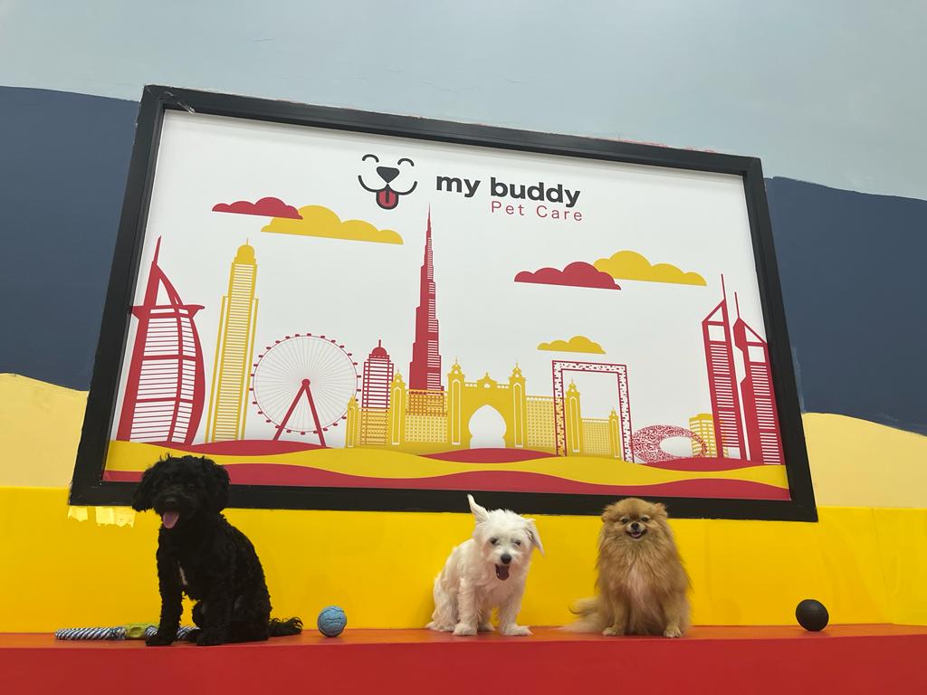 My Buddy Pet Care Best pet care in Dubai